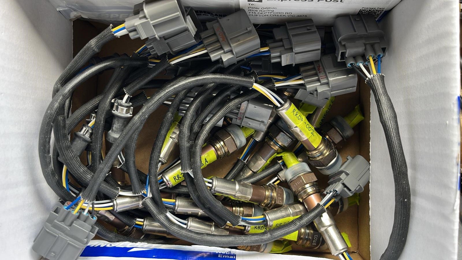 WhatsApp Image 2026-01-17 at 16.38.45.jpeg